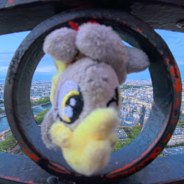 Derpy hooves smol