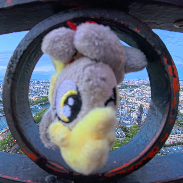 Derpy hooves smol