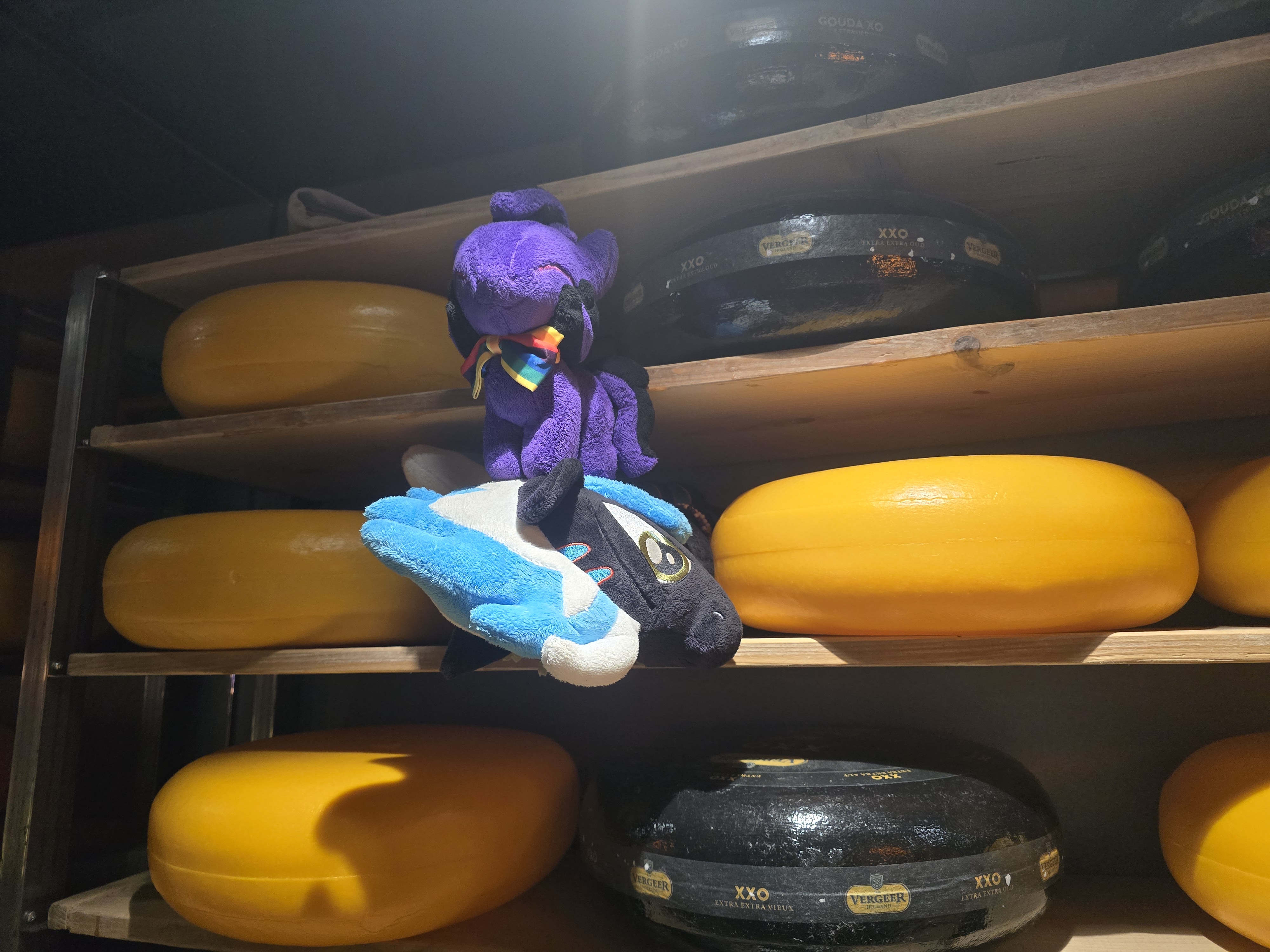 Gouda!